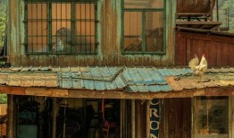 北美小屋爆料怎么做视频